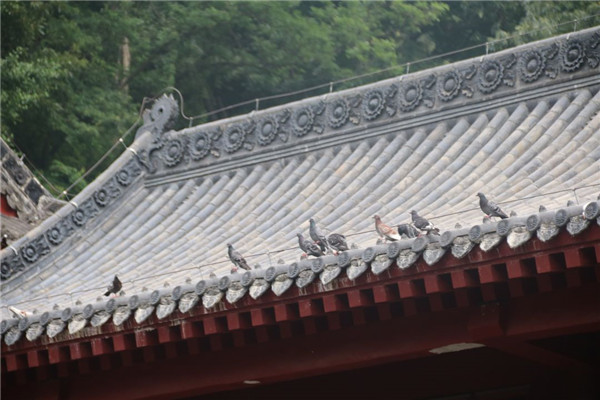 今泰裝飾出游記 | 我們有一千種姿勢(shì)玩出精彩！(圖4)