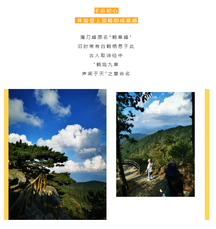 秋天了，來一場成年人的秋游吧(圖2)