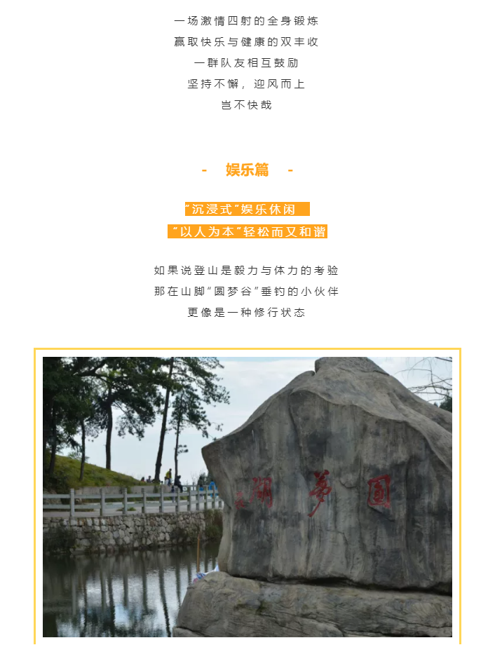 秋天了，來一場成年人的秋游吧(圖4)